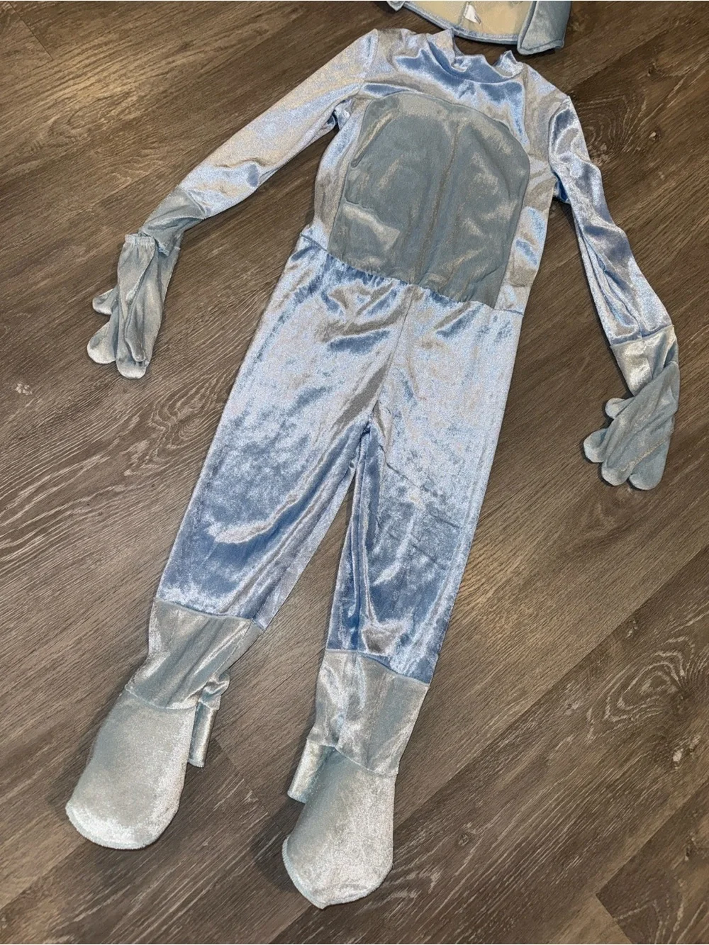 3/4T Bluey costume